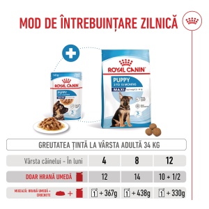 Royal Canin Maxi Puppy, hrana umeda caine junior (in sos), 10 x 140G - Img 9