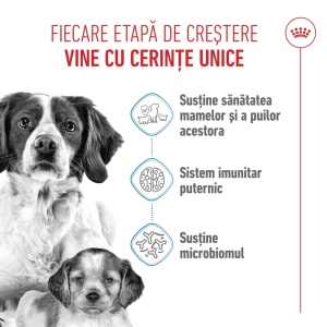 Royal Canin Medium Starter Mother & BabyDog, mama si puiul, hrana uscata caini, 15KG - Img 9