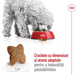 Royal Canin Mini Adult, hrana uscata caine, 8KG - Img 8