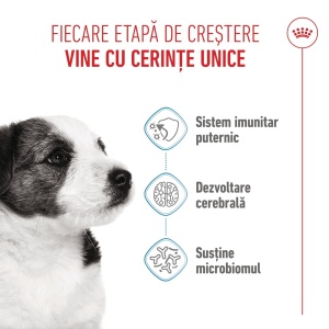Royal Canin Mini Puppy, hrana uscata caine junior, 4KG - Img 9