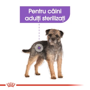 Royal Canin Mini Sterilised Adult, hrana uscata caine sterilizat, 3KG - Img 3