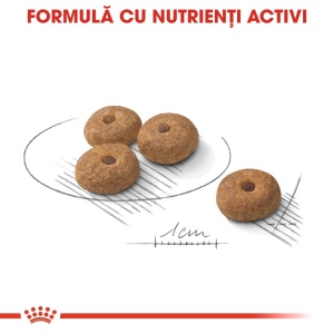 Royal Canin Mini Sterilised Adult, hrana uscata caine sterilizat, 8KG - Img 4
