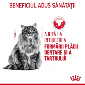 Royal Canin Oral Care Adult, hrana uscata pisica, reducerea formarii tartrului, 1.5KG - Img 3