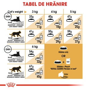 Royal Canin Persian Adult, hrana uscata pisica, 400G - Img 8