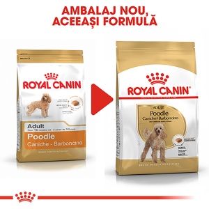 Royal Canin Poodle Adult, hrana uscata caine, 1.5KG - Img 7