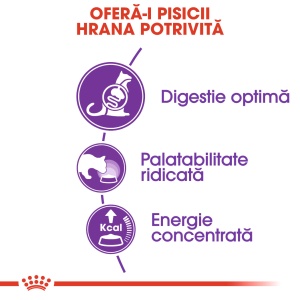 Royal Canin Sensible Adult, hrana uscata pisica, digestie optima, 4KG - Img 5