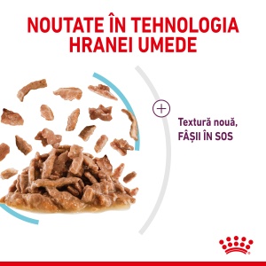 Royal Canin Sensory Feel, hrana umeda pisici, stimularea simtului tactil (in sos), 12 x 85G - Img 5