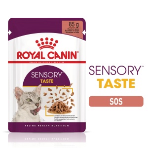Royal Canin Sensory Taste, hrana umeda pisici, stimularea gustului (in sos), 12 x 85G