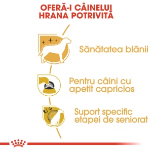 Royal Canin Yorkshire Adult, hrana uscata caine, 500G - Img 4