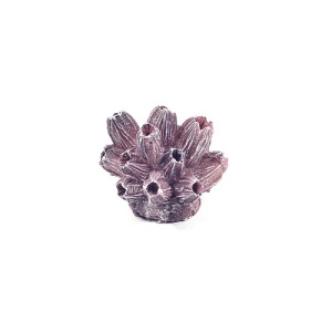 Decor pentru Acvariu Enjoy Coral Mini, 5x4x4cm