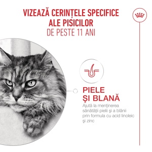 Royal Canin Ageing 11 +, hrana uscata pentru pisici senioare, 4KG - Img 3