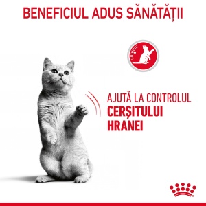 Royal Canin Appetite Control Care Adult, hrana uscata pisica sterilizata, reglarea apetitului, 3,5KG - Img 2