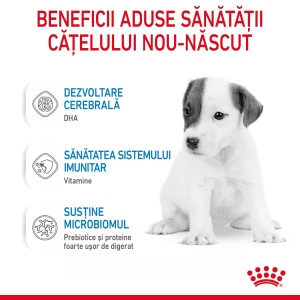 Royal Canin Babydog Milk, inlocuitor lapte matern caine, 400G - Img 3