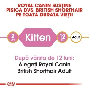 Royal Canin British Shorthair Kitten, hrana uscata pisica junior, 2KG - Img 6