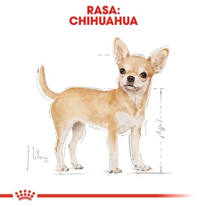 Royal Canin Chihuahua Adult, hrana uscata caine, 1.5KG - Img 3