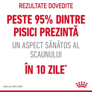 Royal Canin Digest Sensitive Care Adult, hrana umeda pisica, confort digestiv (in sos), 12 x 85G - Img 4