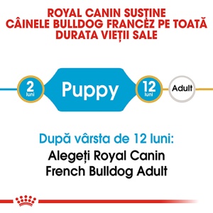 Royal Canin French Bulldog Puppy, hrana uscata caine junior, 3KG - Img 7