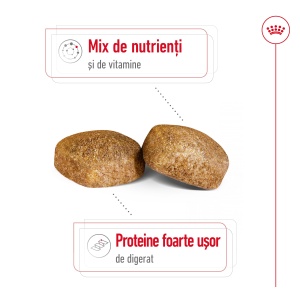 Royal Canin Giant Adult, hrana uscata caine, 15KG - Img 6