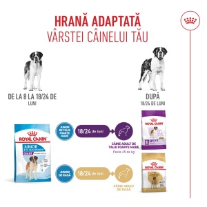 Royal Canin Giant Junior, hrana uscata caine junior etapa 2 de crestere , 15KG - Img 6
