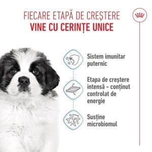 Royal Canin Giant Puppy, hrana uscata caine junior etapa 1 de crestere, 1KG - Img 8