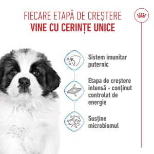 Royal Canin Giant Puppy, hrana uscata caine junior etapa 1 de crestere, 3.5KG - Img 8