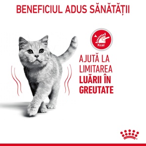 Royal Canin Light Weight Care Adult, hrana umeda pisica, limitarea cresterii in greutate (in sos), 12 x 85G - Img 12