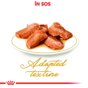Royal Canin Maine Coon Adult, hrana umeda pisica (in sos), 12 x 85G - Img 4