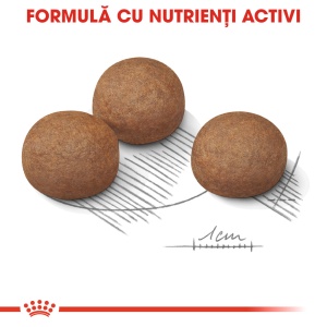 Royal Canin Maxi Digestive Care hrana, uscata caine, confort digestiv, 12KG - Img 4