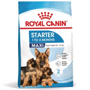 Royal Canin Maxi Starter Mother & BabyDog, mama si puiul, hrana uscata caini, 4KG