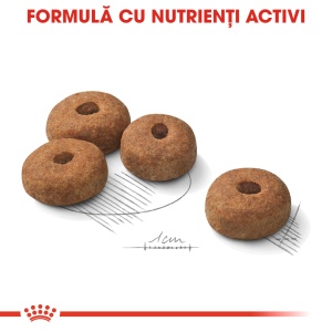Royal Canin Maxi Sterilised Adult, hrana uscata caine sterilizat, 12KG - Img 4