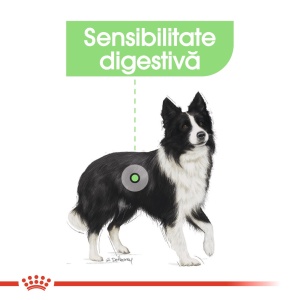 Royal Canin Medium Digestive Care, hrana uscata caine, confort digestiv, 12KG - Img 3