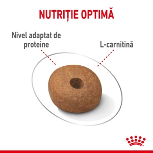Royal Canin Medium Light Weight Care, Adult hrana uscata caine, limitarea cresterii in greutate, 12KG - Img 4