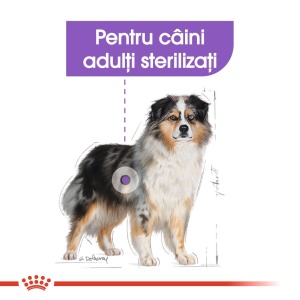 Royal Canin Medium Sterilised Adult, hrana uscata caine sterilizat, 12KG - Img 3