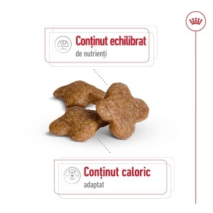 Royal Canin Mini Adult 8+, hrana uscata caine, 8KG - Img 9