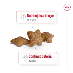 Royal Canin Mini Adult, hrana uscata caine, 4KG - Img 3
