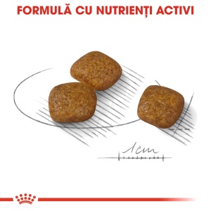 Royal Canin Mini Urinary Care, hrana uscata caine, sanatatea tractului urinar, 8KG - Img 4