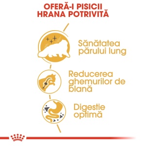 Royal Canin Persian Adult, hrana uscata pisica, 2KG - Img 7