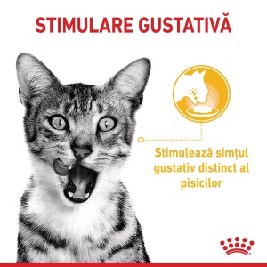 Royal Canin Sensory Taste, hrana umeda pisici, stimularea gustului (in sos), 12 x 85G - Img 8
