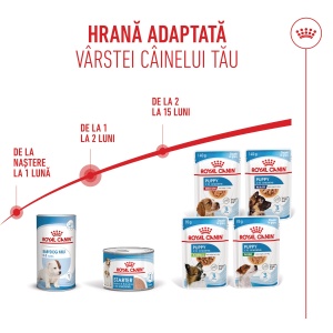 Royal Canin Starter Mousse, mama si puiul, hrana umeda caine (textura spumoasa), 195G - Img 4