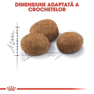 Royal Canin Sterilised 7+, hrana uscata pisica sterilizata, 10KG - Img 3