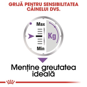 Royal Canin Sterilised Adult, hrana umeda caine sterilizat (pate), 12 x 85G - Img 5