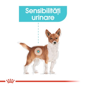 Royal Canin Urinary Care Adult, hrana umeda caine, sanatatea tractului urinar (pate), 12 x 85G - Img 6