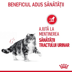 Royal Canin Urinary Care Adult, hrana uscata pisica, sanatatea tractului urinar, 2KG - Img 3