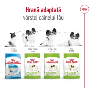 Royal Canin X-Small Adult, hrana uscata caine, 500G - Img 4