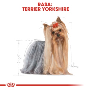 Royal Canin Yorkshire Terrier Adult, hrana umeda caine (pate), 12 x 85 g - Img 5