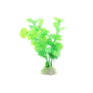Planta decorativa pentru acvariu Enjoy Bacopa verde, 10 cm