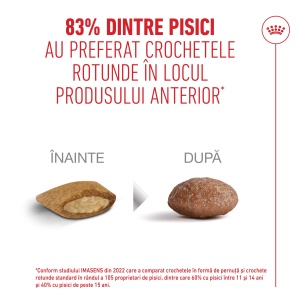 Royal Canin Ageing 11 +, hrana uscata pentru pisici senioare, 400G - Img 6