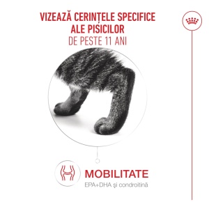 Royal Canin Ageing 11 +, hrana uscata pentru pisici senioare, 4KG - Img 10