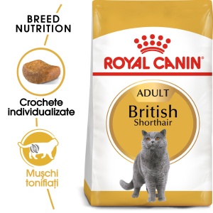 Royal Canin British Shorthair Adult, hrana uscata pisica, 400G