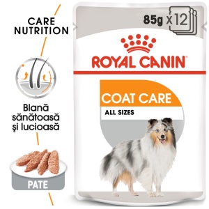 Royal Canin Coat Care Adult, hrana umeda caine, blana sanatoasa si lucioasa (pate), 12 x 85G